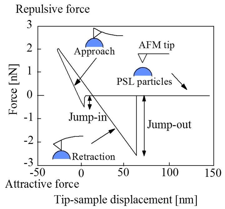 AFM探針とPSL表面間に作用するフォースカーブ