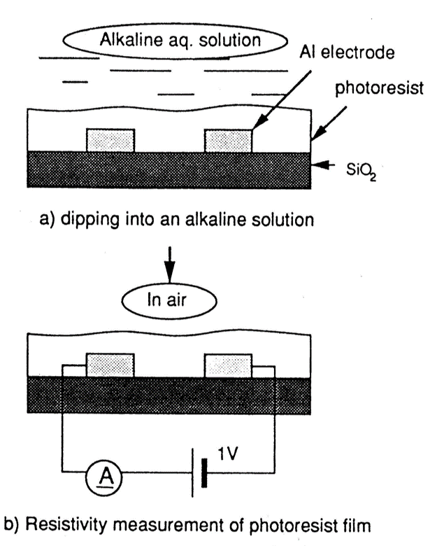 現像液浸漬後の高分子膜の抵抗測定方法