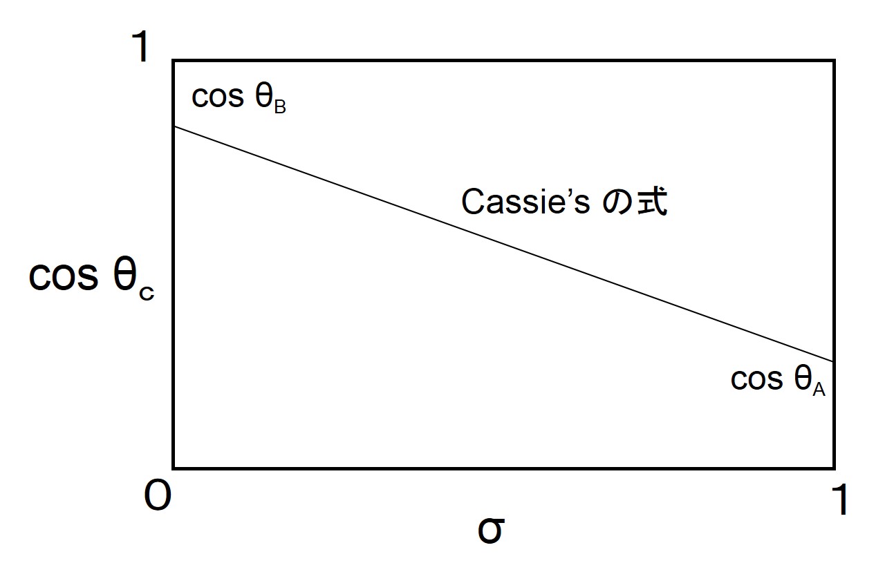 Cassieの式による面積比の計測
