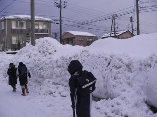 長岡の雪