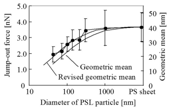 PSL粒子の変形効果を考慮した補正曲線